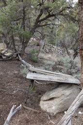 A rustic table [sun apr 23 12:33:00 mdt 2017]